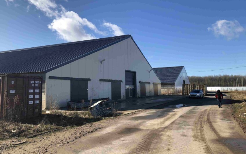 Modern dairy farm for 1200-3600 heads with new equipment