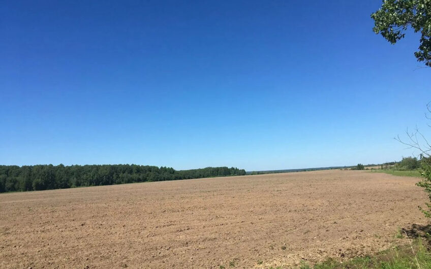 461 hectares of land for rent 70 km from Moscow