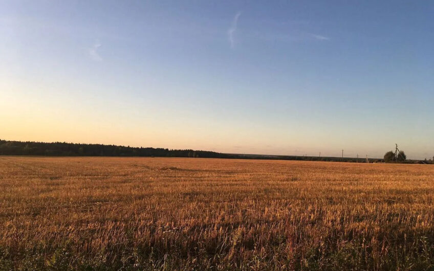 461 hectares of land for rent 70 km from Moscow