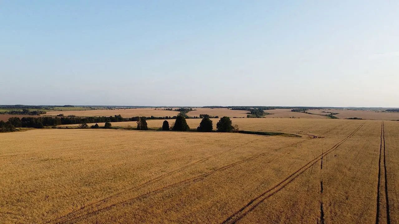 Agricultural land 5000 hectares in the Tula region