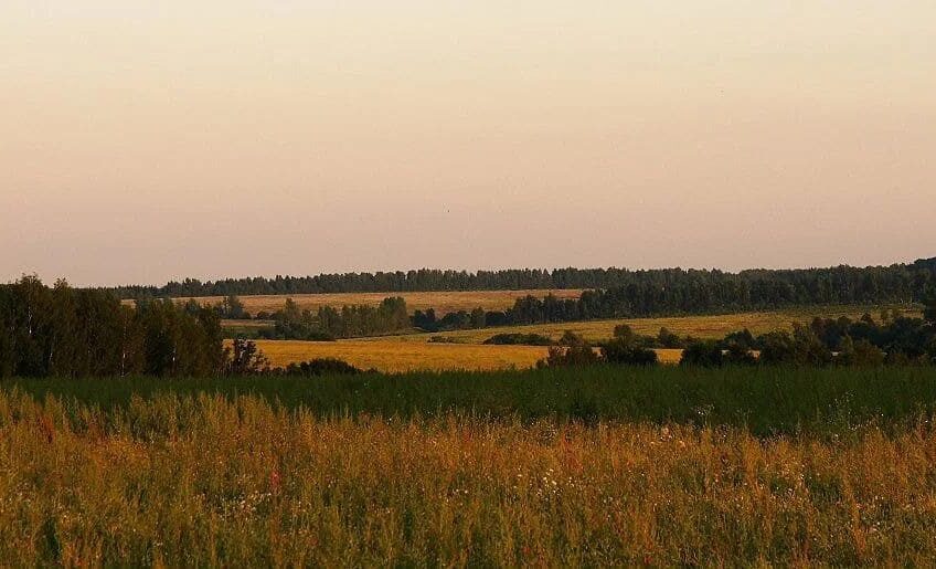 Agricultural land 5000 hectares in the Tula region