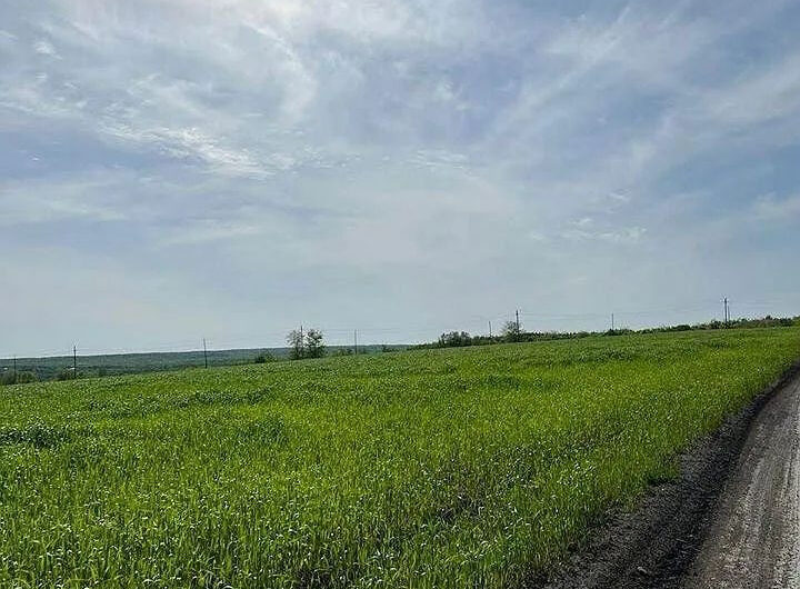 Land plot of 5500 hectares in the Saratov region