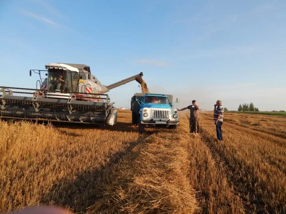 Ready-made agribusiness in the Stavropol Territory