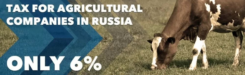 Farmers grow in Russia