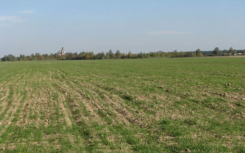 1150 hectares of land near the river for growing vegetables